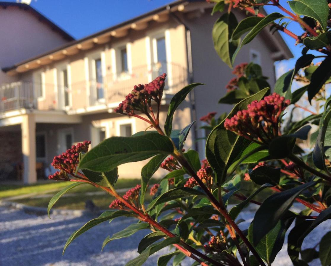 Happy Hill - Appartamento Quercia - Natura E Relax Santa Maria Rocca Εξωτερικό φωτογραφία