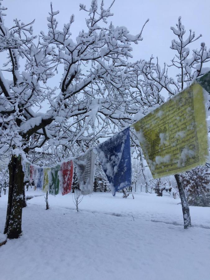 Happy Hill - Appartamento Quercia - Natura E Relax Santa Maria Rocca Εξωτερικό φωτογραφία