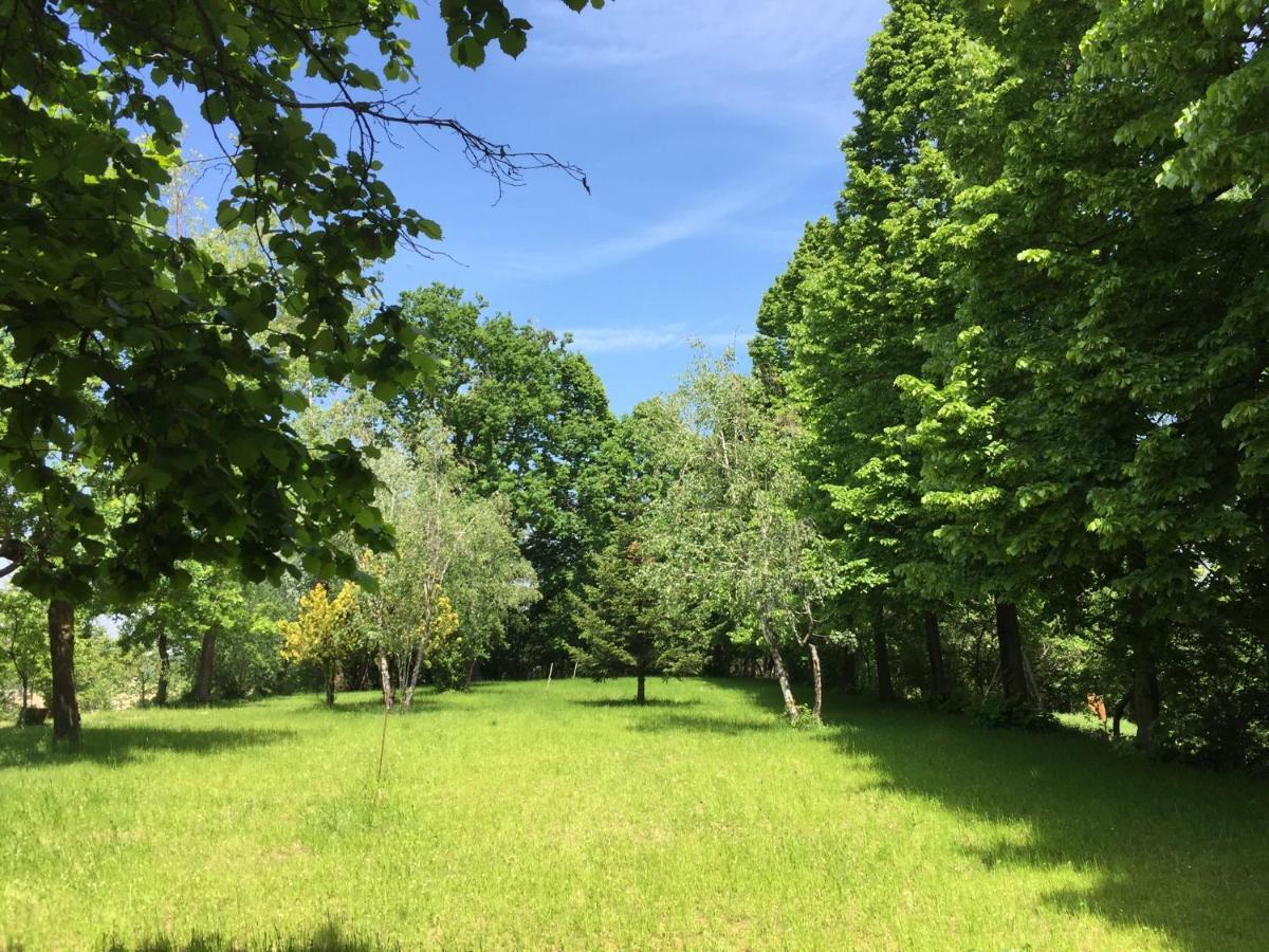 Happy Hill - Appartamento Quercia - Natura E Relax Santa Maria Rocca Εξωτερικό φωτογραφία