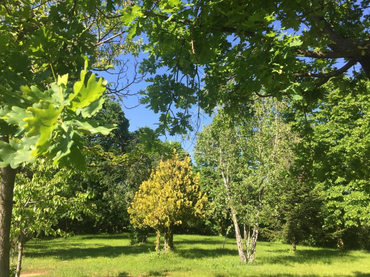 Happy Hill - Appartamento Quercia - Natura E Relax Santa Maria Rocca Εξωτερικό φωτογραφία